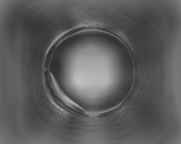 X0000054381120200508011246