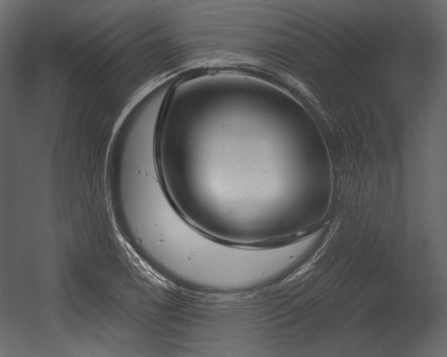 X0000054381122200508011246