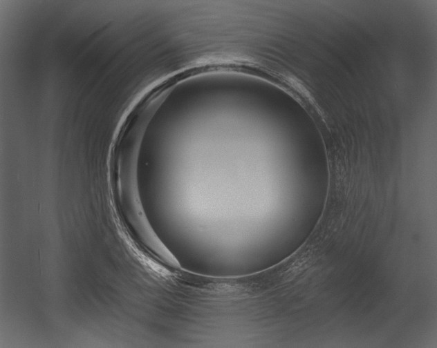 X0000054381124200508011246