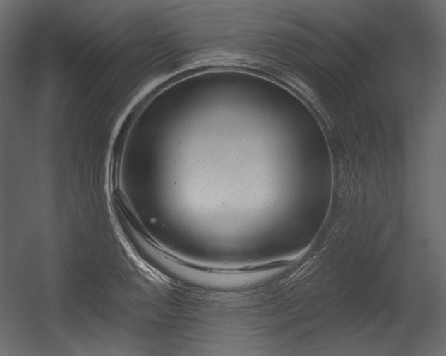 X0000054381128200508011246