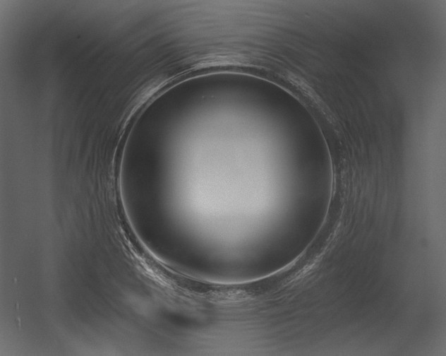 X0000054381129200508011246