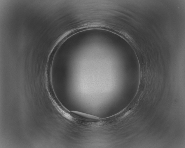 X0000054381134200508011247