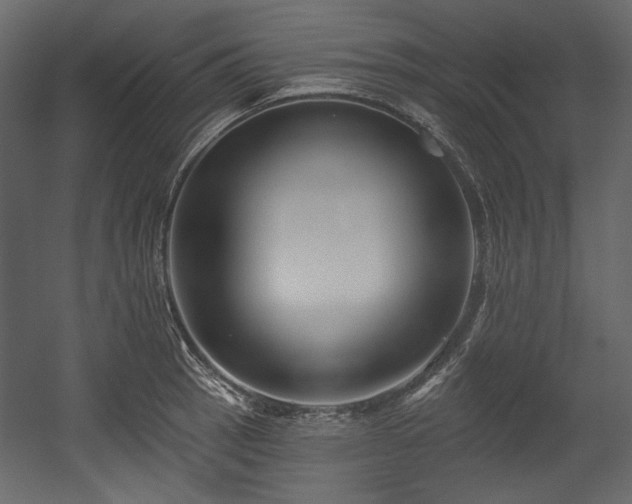 X0000054381137200508011247