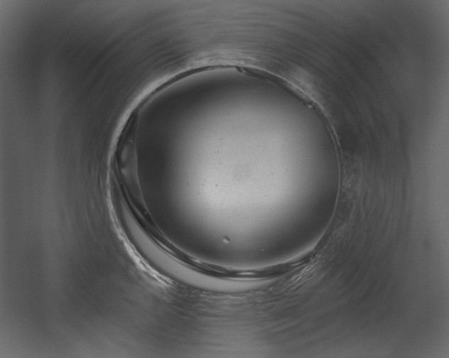 X0000054381144200508011247