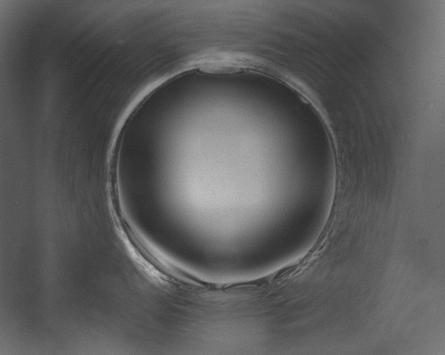 X0000054381152200508011247