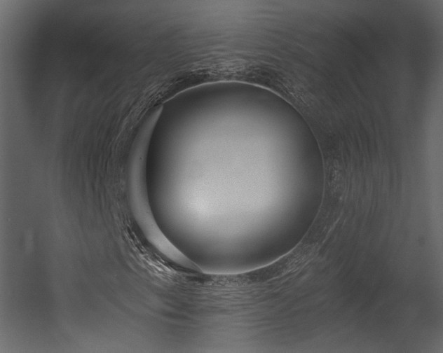 X0000054381153200508011246