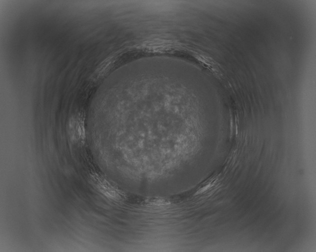 X0000054381155200508011246