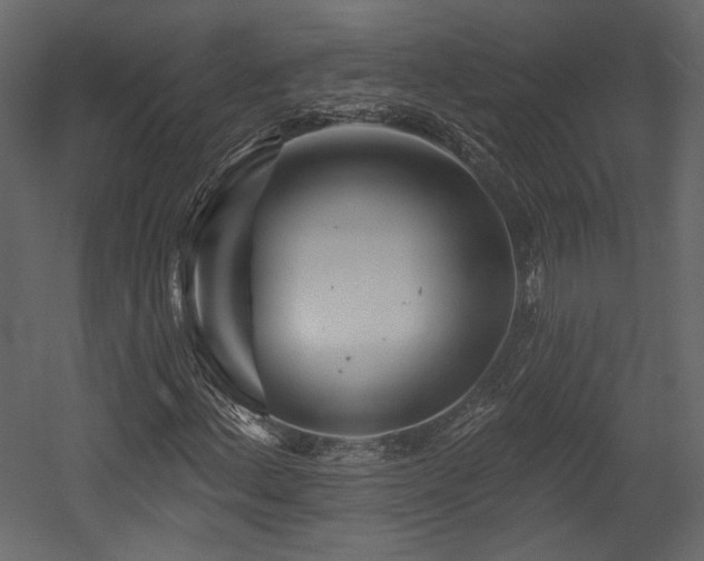 X0000054381156200508011246