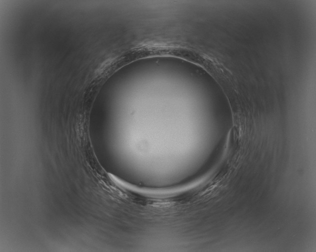 X0000054381157200508011246