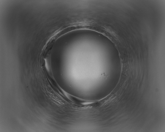 X0000054381160200508011246