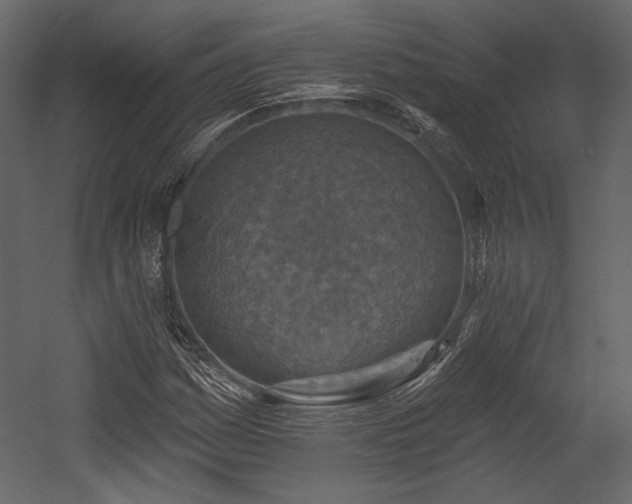 X0000054381161200508011246