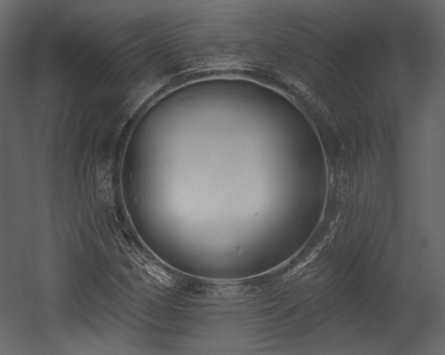 X0000054381162200508011246