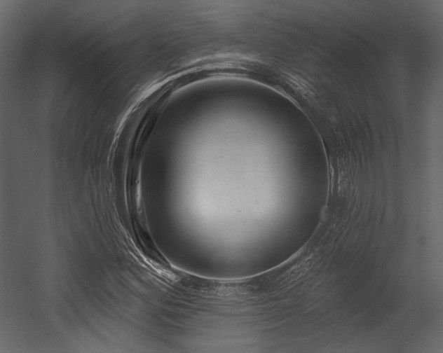X0000054381164200508011246