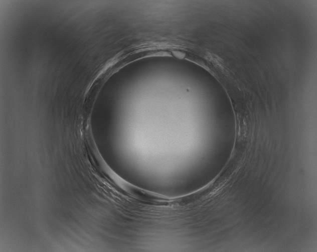 X0000054381165200508011246