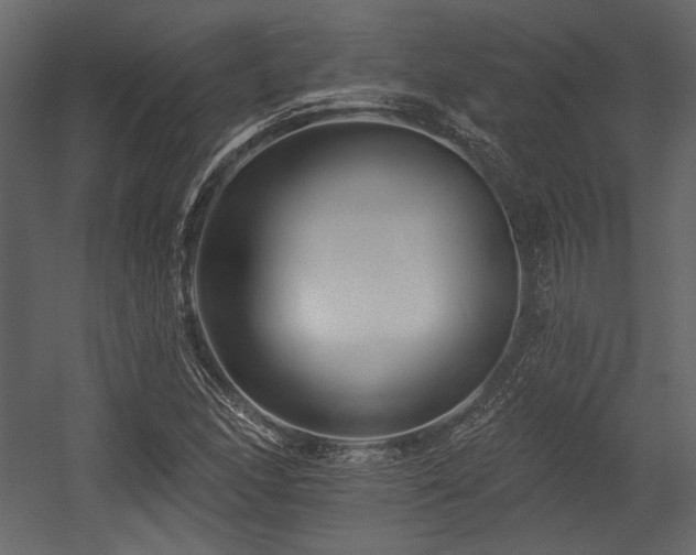X0000054381166200508011246