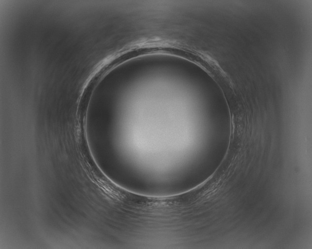 X0000054381167200508011246