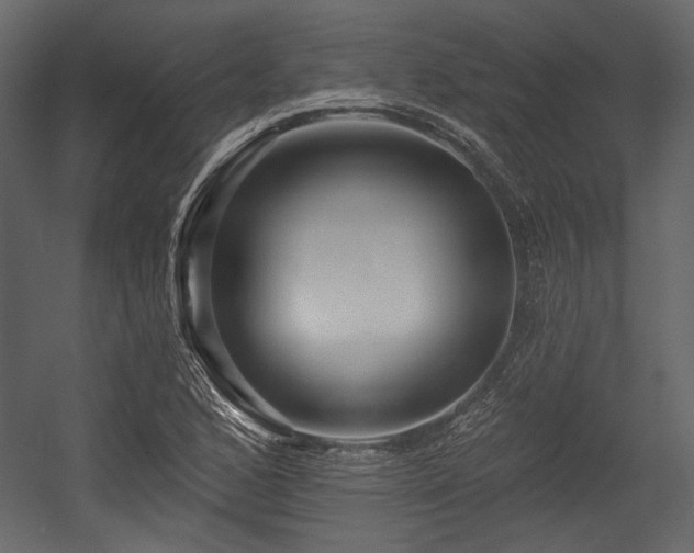 X0000054381168200508011246