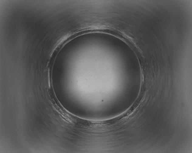 X0000054381171200508011246