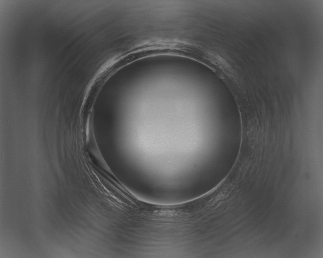 X0000054381172200508011246