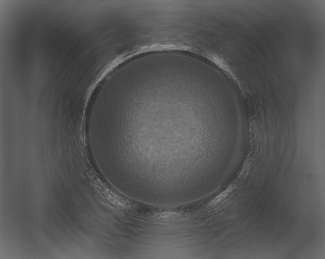 X0000054381173200508011246