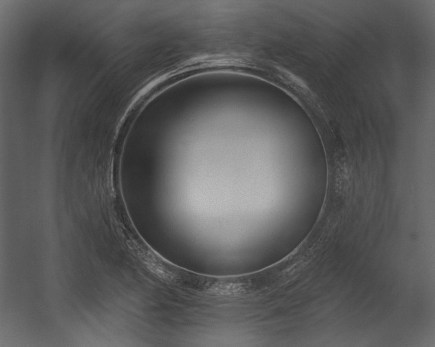 X0000054381174200508011246