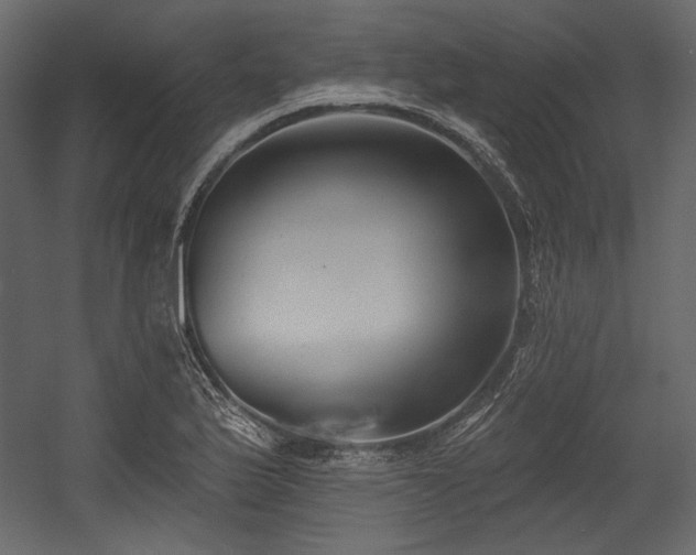 X0000054381175200508011246