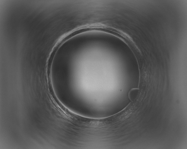 X0000054381176200508011246
