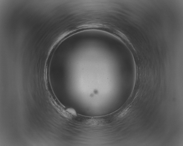 X0000054381179200508011246
