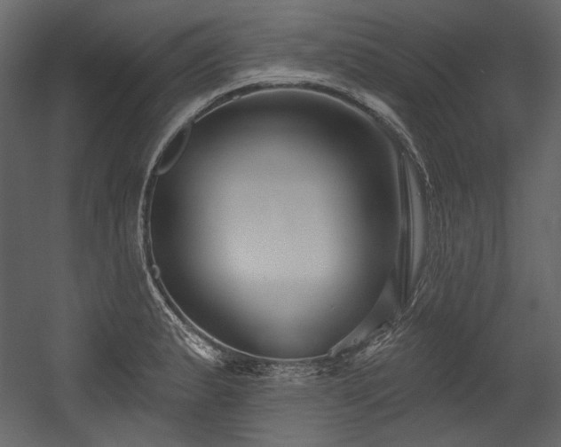 X0000054381183200508011246