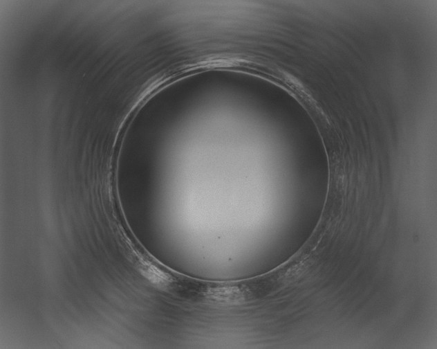 X0000054381186200508011246