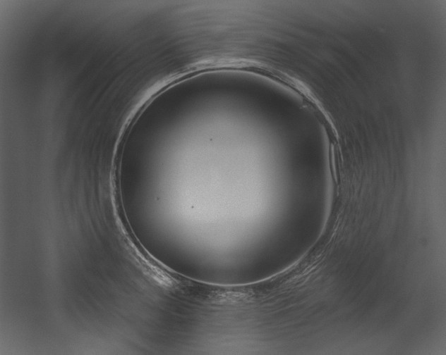 X0000054381187200508011246