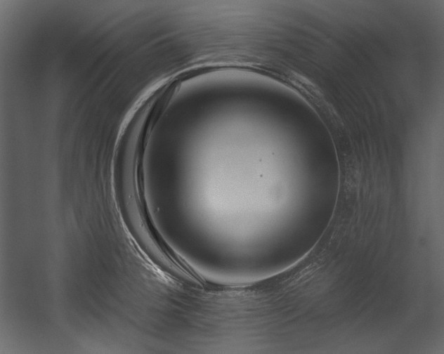 X0000054381188200508011245