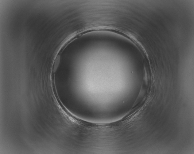 X0000054381189200508011245