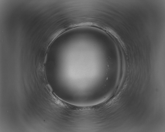 X0000054381193200508011245