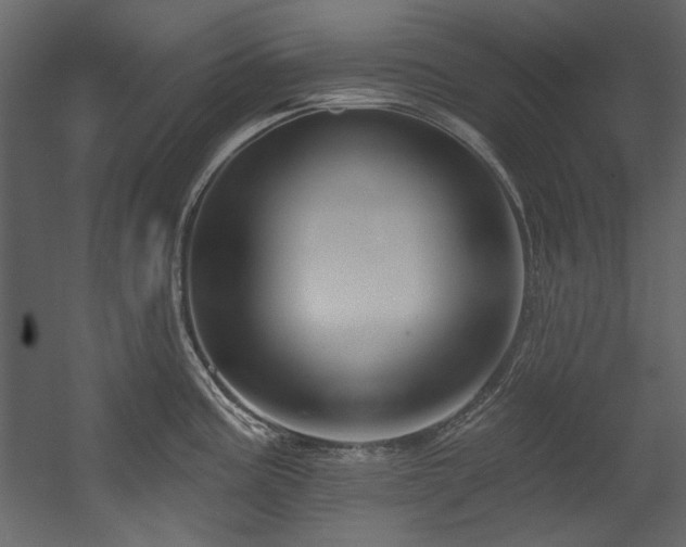 X0000054381195200508011245