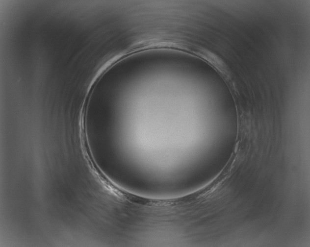 X0000054381198200508011245