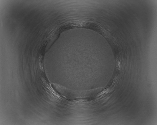 X0000054381202200508011244