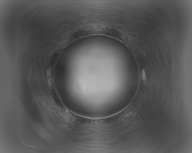 X0000054381203200508011244