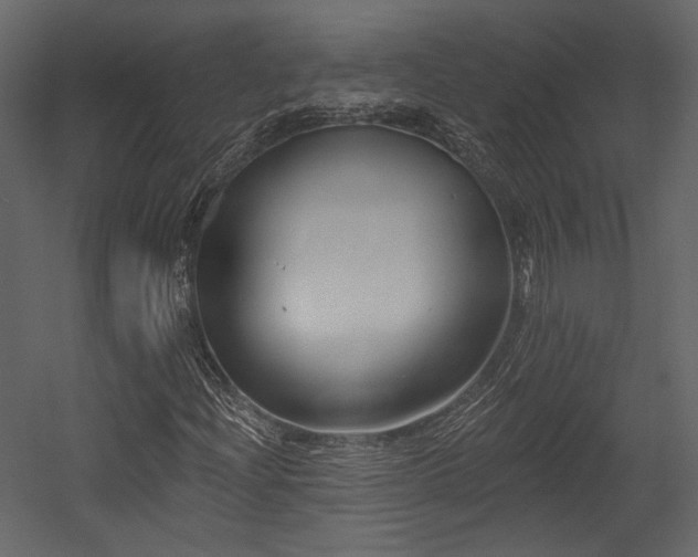 X0000054381204200508011245