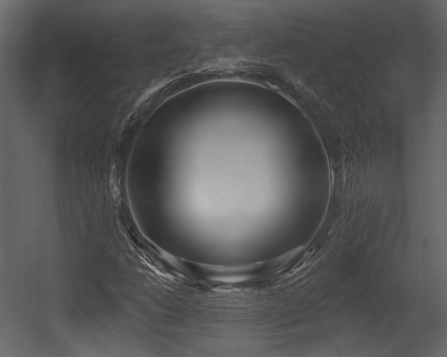 X0000054381206200508011245