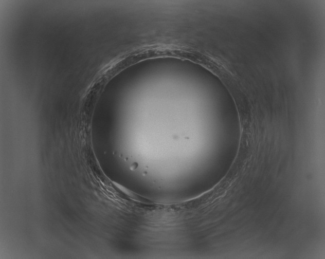 X0000054381207200508011245