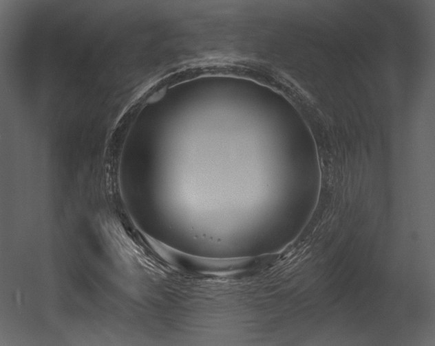 X0000054381208200508011245