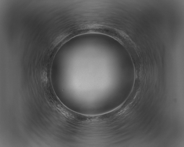 X0000054381209200508011245