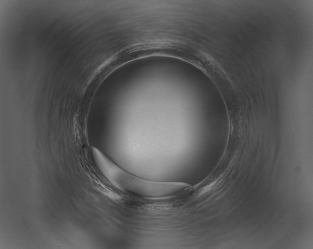 X0000054381210200508011245