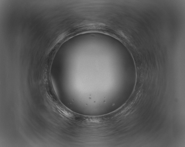 X0000054381211200508011245