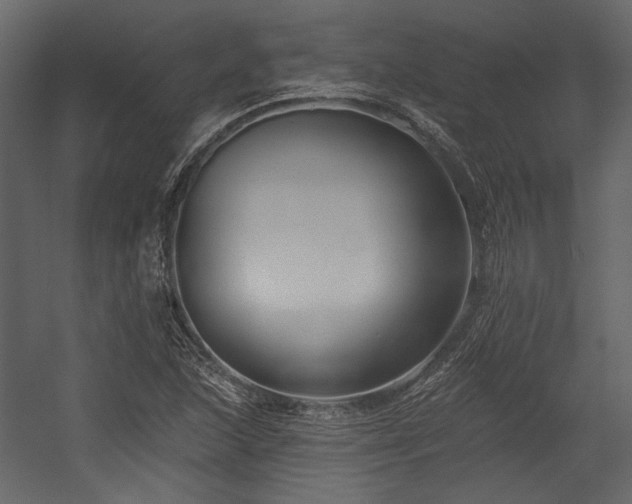 X0000054381215200508011245