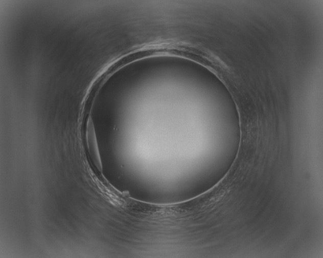 X0000054381216200508011245