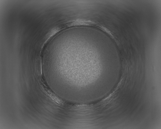 X0000054381219200508011245