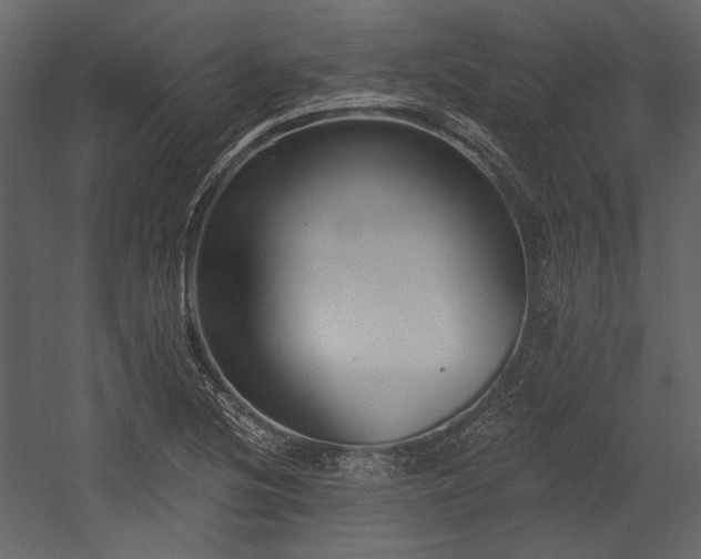 X0000054381220200508011245