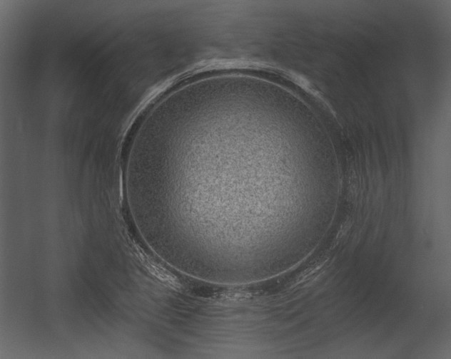 X0000054381221200508011245